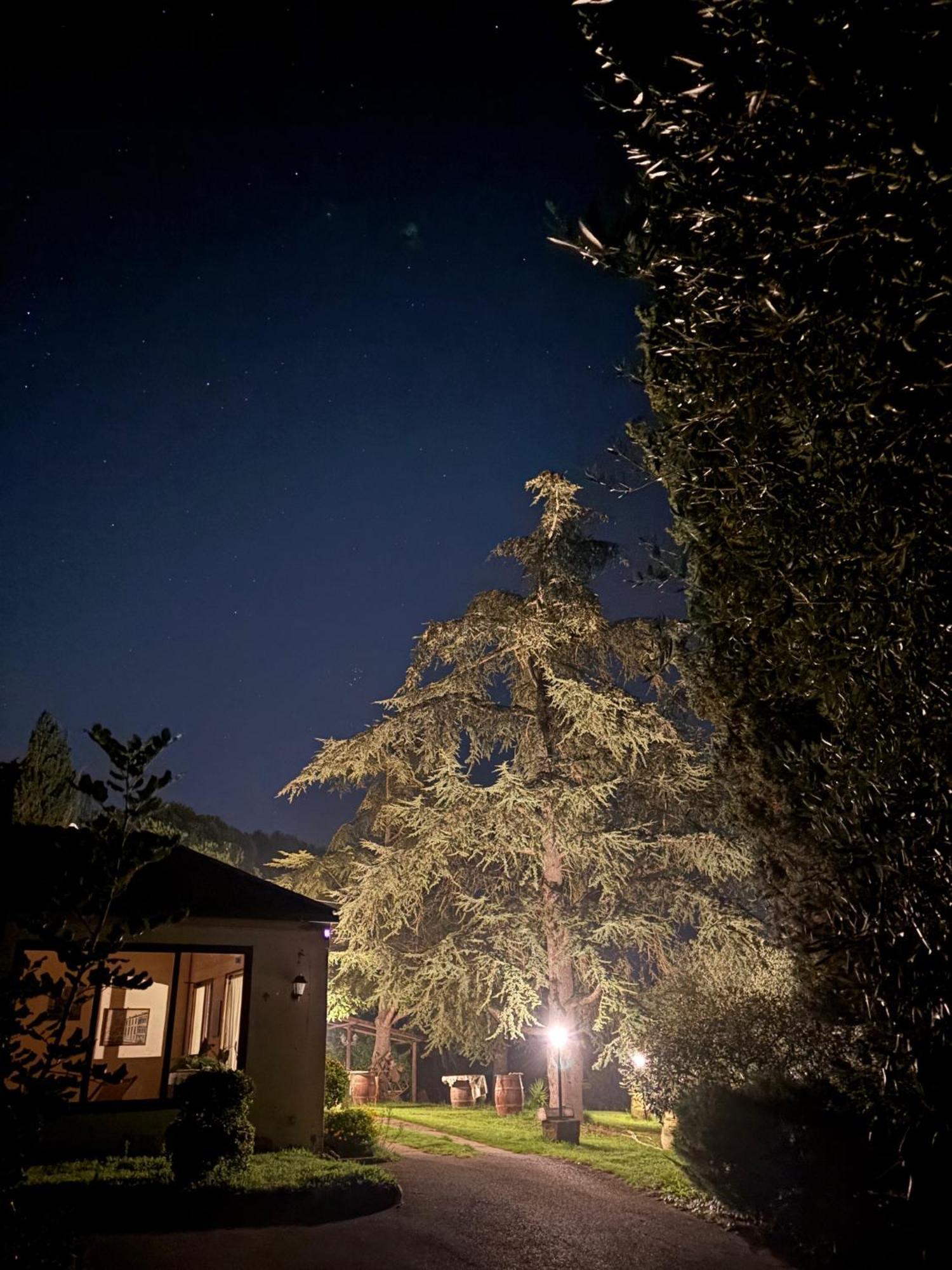 Tuscany Time Montefoscoli Kültér fotó