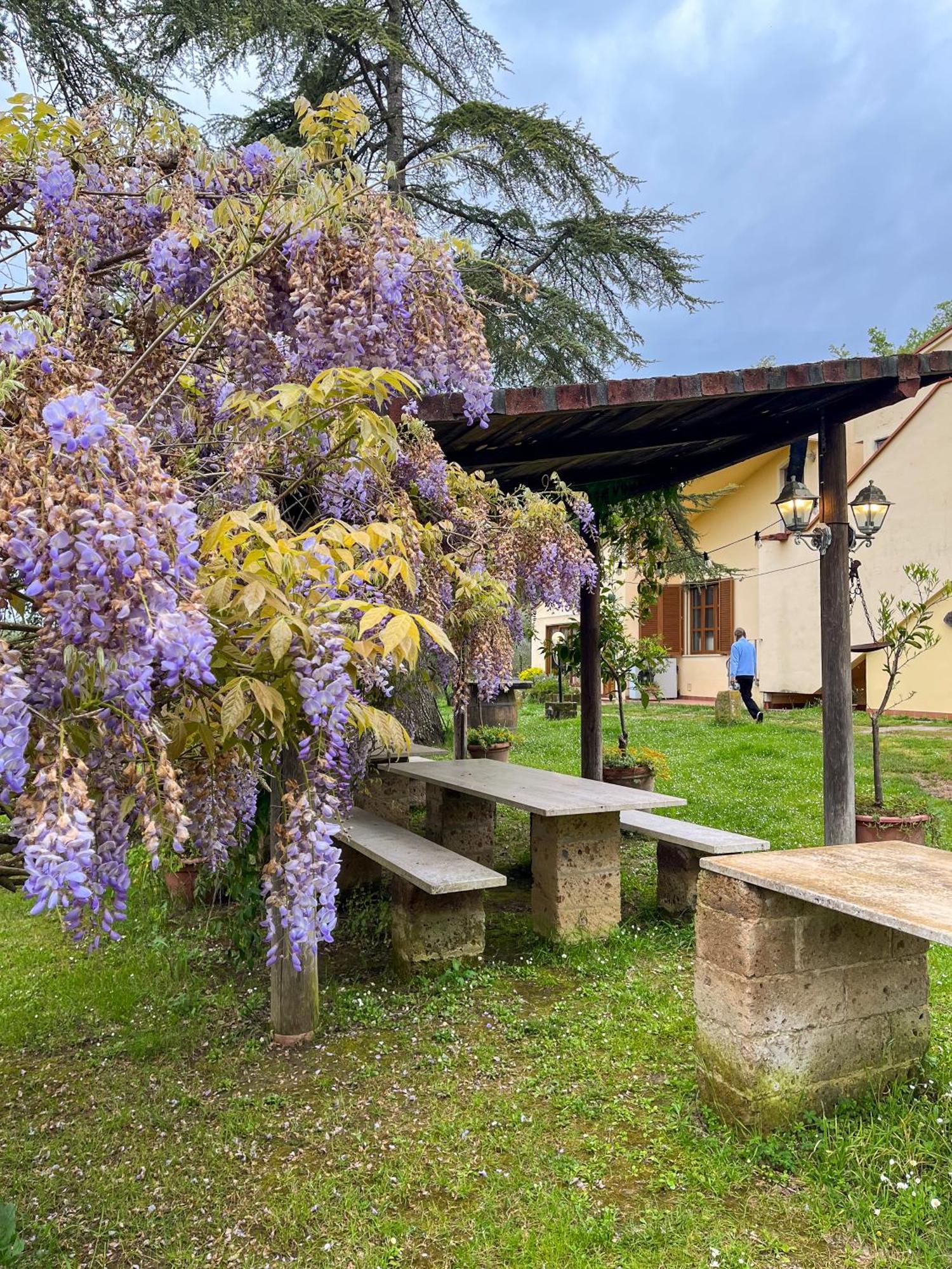 Tuscany Time Montefoscoli Kültér fotó